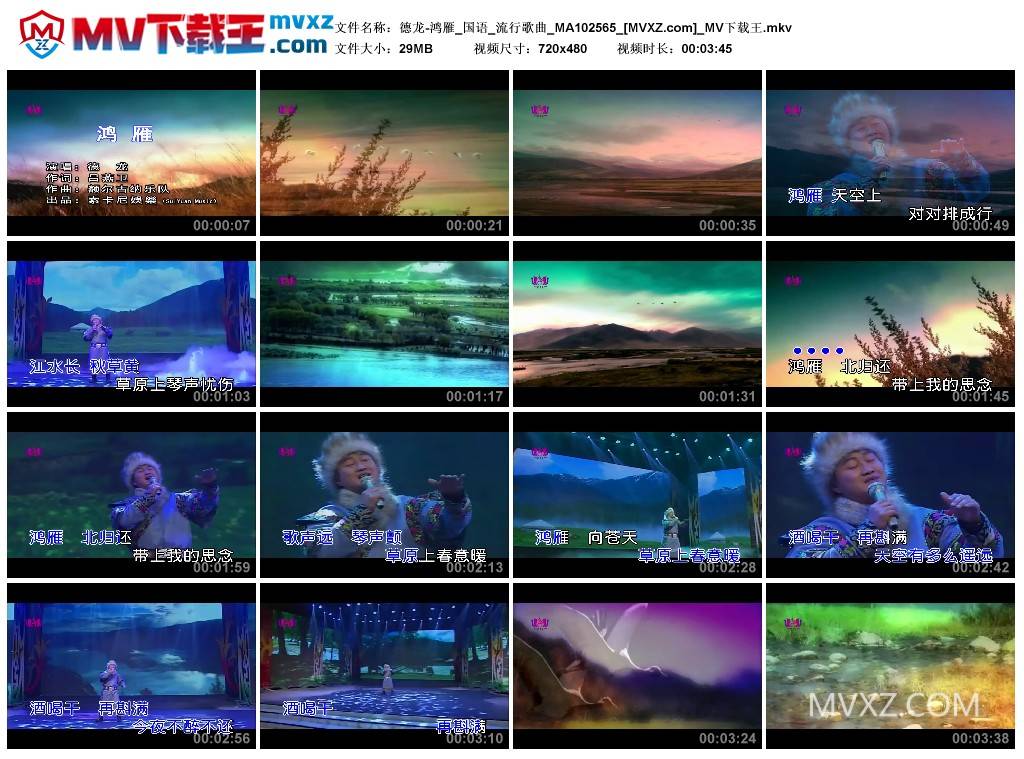德龙-鸿雁_国语_流行歌曲_MA102565